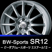 BW-Sports SR12